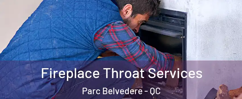  Fireplace Throat Services Parc Belvedere - QC