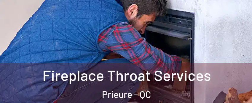  Fireplace Throat Services Prieure - QC
