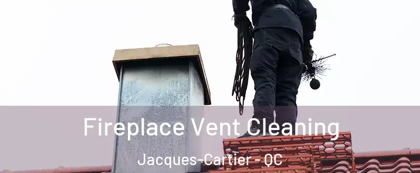 Fireplace Vent Cleaning Jacques-Cartier - QC