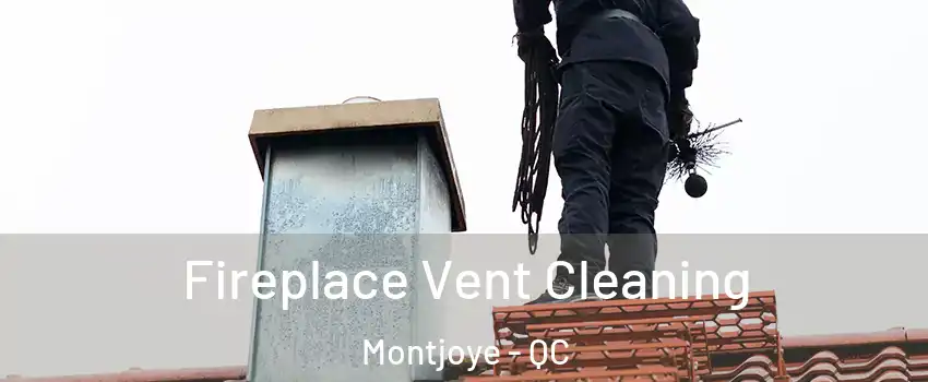  Fireplace Vent Cleaning Montjoye - QC