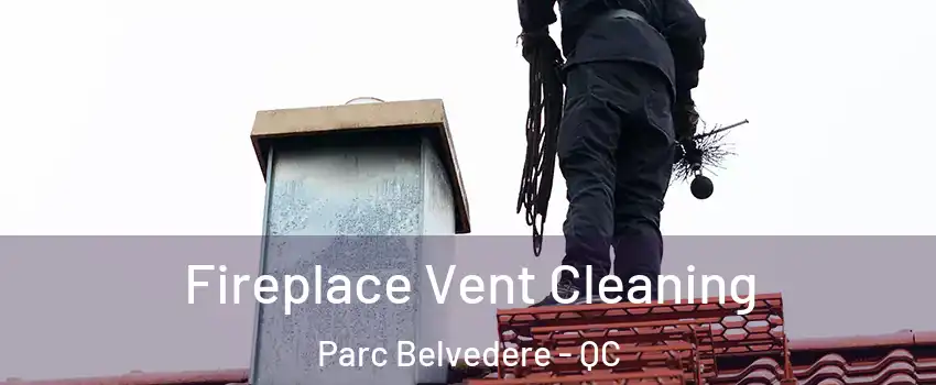 Fireplace Vent Cleaning Parc Belvedere - QC