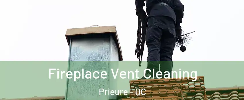  Fireplace Vent Cleaning Prieure - QC