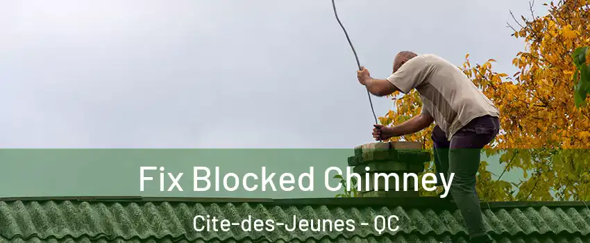  Fix Blocked Chimney Cite-des-Jeunes - QC