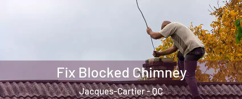  Fix Blocked Chimney Jacques-Cartier - QC