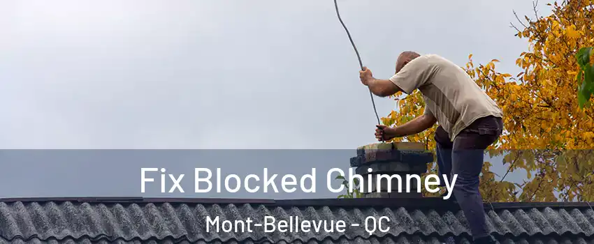  Fix Blocked Chimney Mont-Bellevue - QC