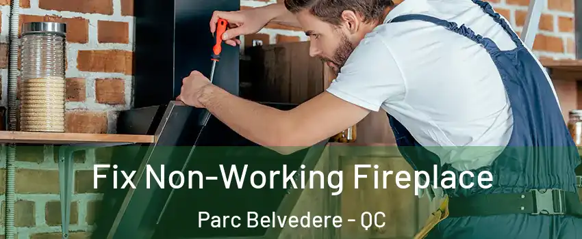  Fix Non-Working Fireplace Parc Belvedere - QC