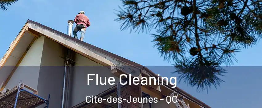  Flue Cleaning Cite-des-Jeunes - QC