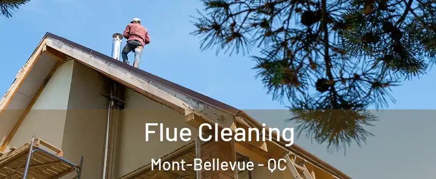  Flue Cleaning Mont-Bellevue - QC