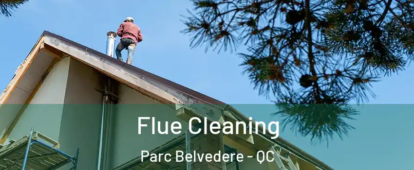  Flue Cleaning Parc Belvedere - QC