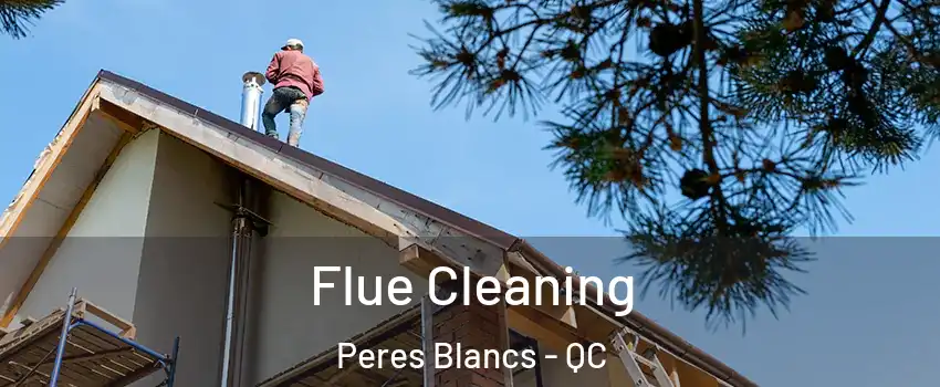  Flue Cleaning Peres Blancs - QC