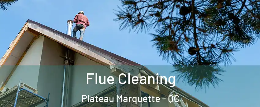  Flue Cleaning Plateau Marquette - QC
