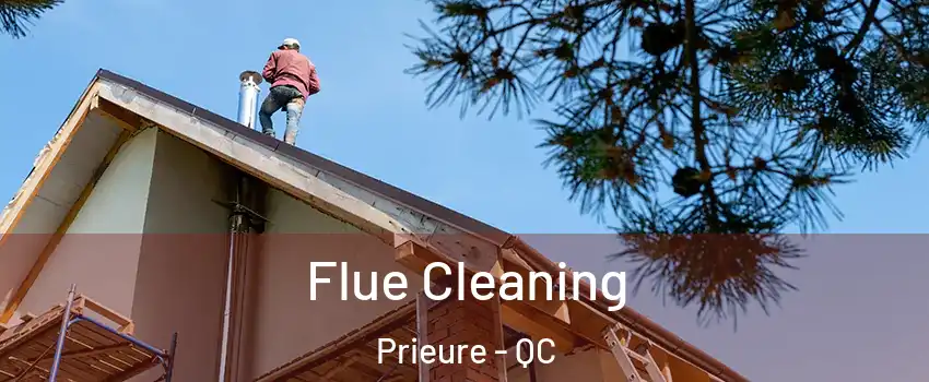  Flue Cleaning Prieure - QC