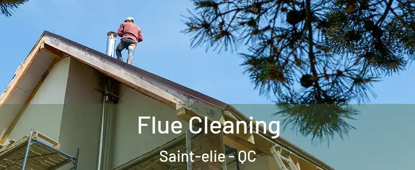  Flue Cleaning Saint-elie - QC