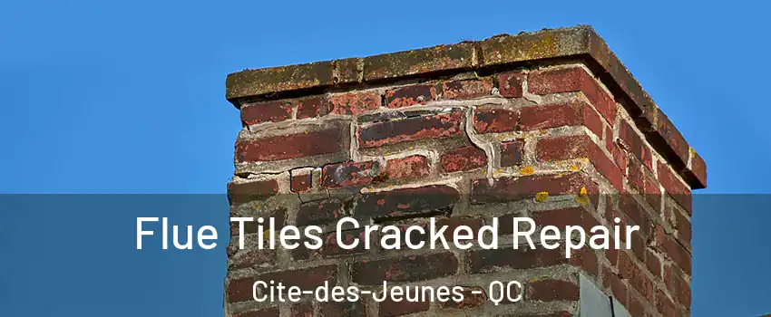  Flue Tiles Cracked Repair Cite-des-Jeunes - QC