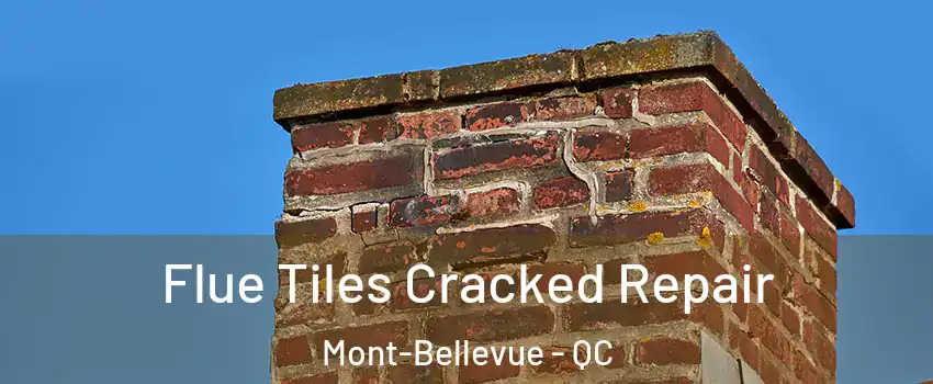  Flue Tiles Cracked Repair Mont-Bellevue - QC