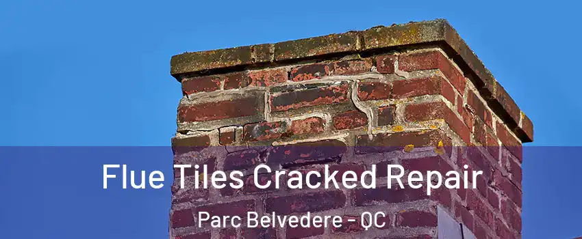  Flue Tiles Cracked Repair Parc Belvedere - QC