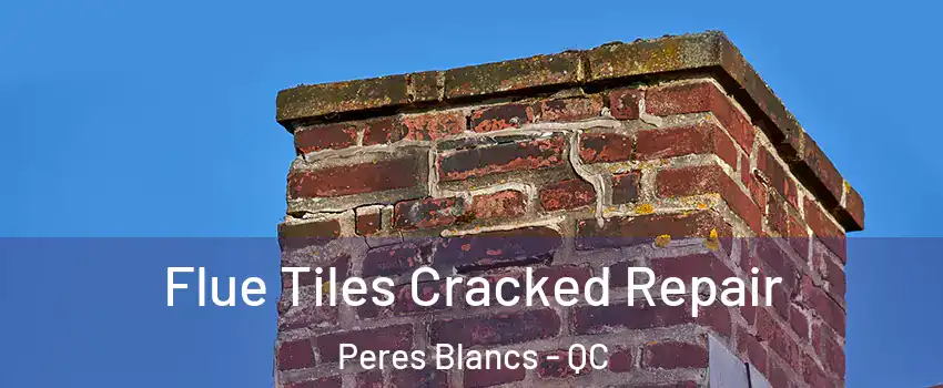  Flue Tiles Cracked Repair Peres Blancs - QC