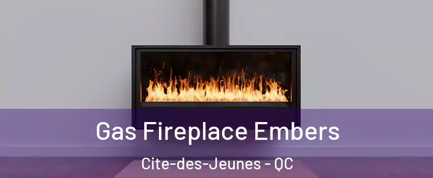  Gas Fireplace Embers Cite-des-Jeunes - QC