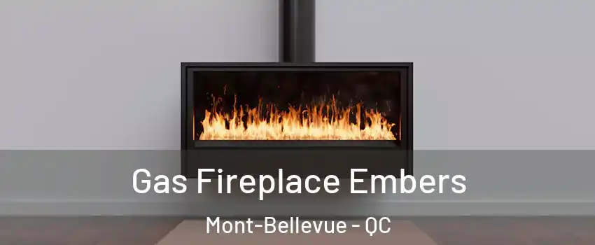 Gas Fireplace Embers Mont-Bellevue - QC