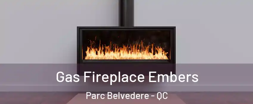  Gas Fireplace Embers Parc Belvedere - QC