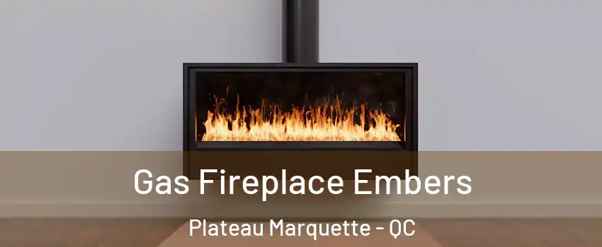  Gas Fireplace Embers Plateau Marquette - QC