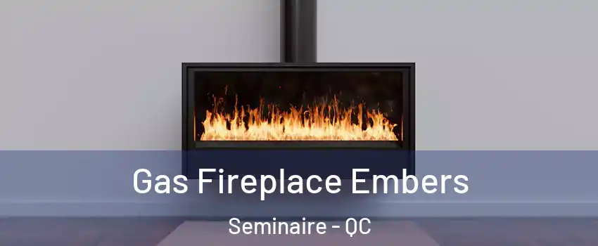  Gas Fireplace Embers Seminaire - QC