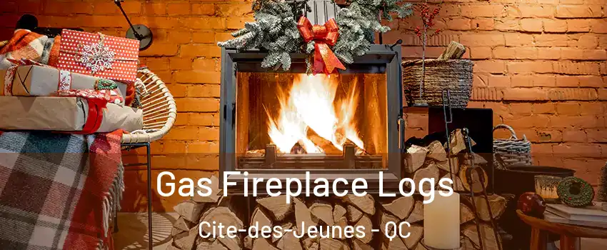  Gas Fireplace Logs Cite-des-Jeunes - QC