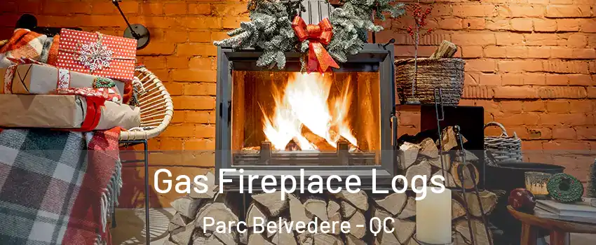  Gas Fireplace Logs Parc Belvedere - QC