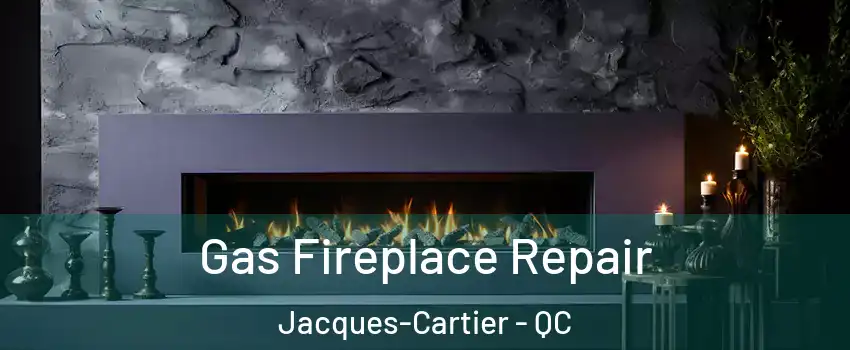  Gas Fireplace Repair Jacques-Cartier - QC