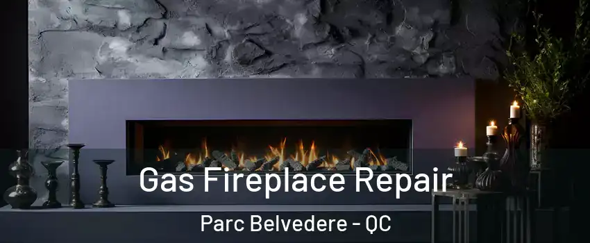  Gas Fireplace Repair Parc Belvedere - QC