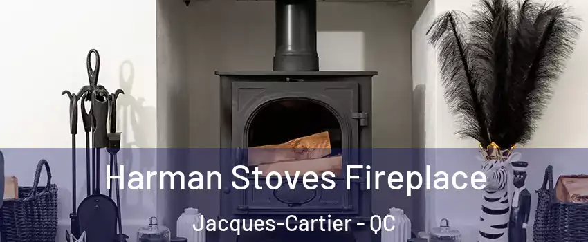  Harman Stoves Fireplace Jacques-Cartier - QC