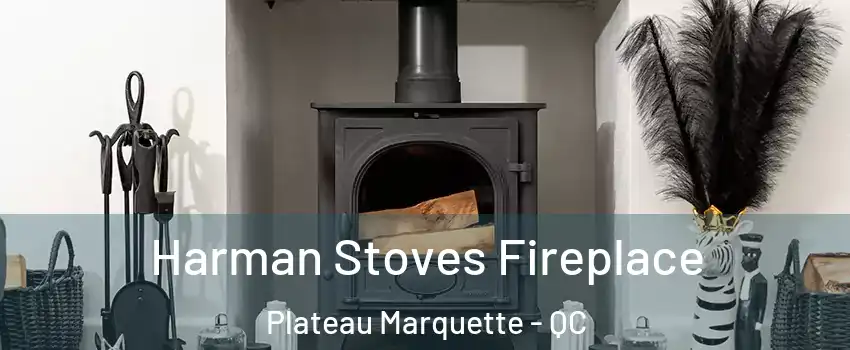  Harman Stoves Fireplace Plateau Marquette - QC