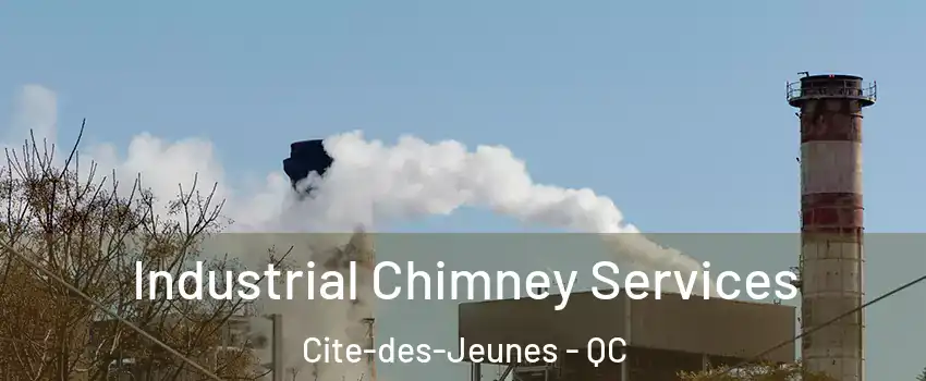  Industrial Chimney Services Cite-des-Jeunes - QC