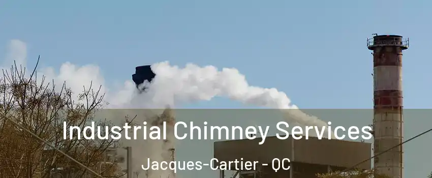  Industrial Chimney Services Jacques-Cartier - QC