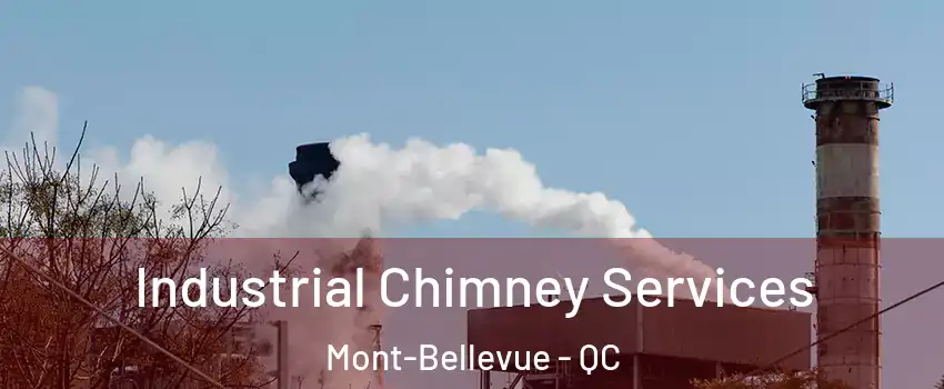  Industrial Chimney Services Mont-Bellevue - QC