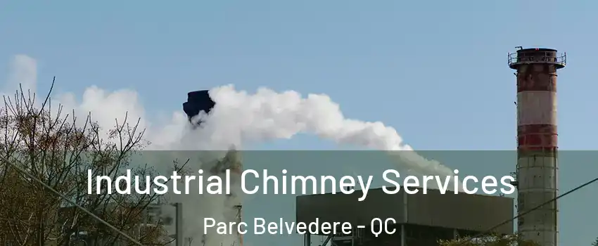  Industrial Chimney Services Parc Belvedere - QC
