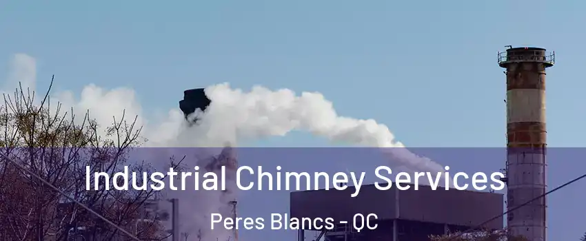  Industrial Chimney Services Peres Blancs - QC