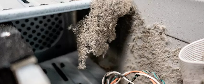 Clogged Dryer Vent Lint Cleaning in Cite-des-Jeunes, Quebec