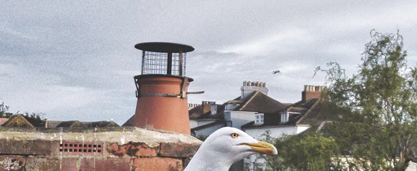 Chimney Cap Bird Guard Repair in Sherbrooke, Quebec