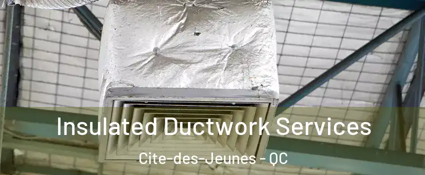  Insulated Ductwork Services Cite-des-Jeunes - QC