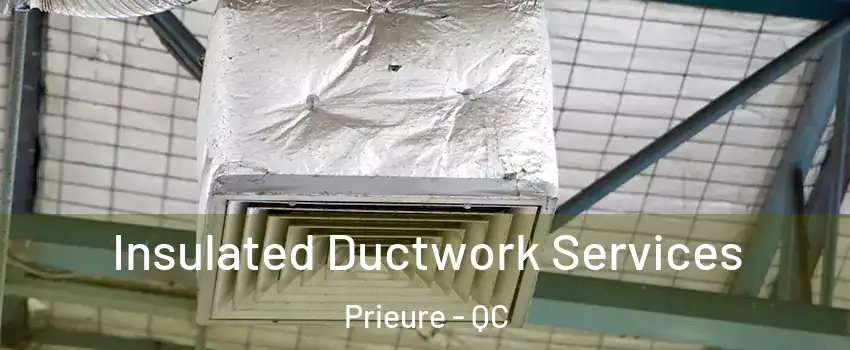  Insulated Ductwork Services Prieure - QC
