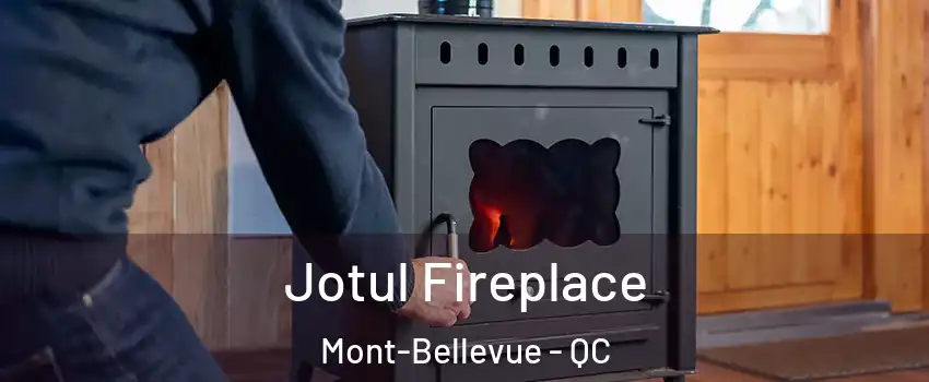  Jotul Fireplace Mont-Bellevue - QC