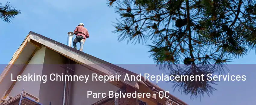  Leaking Chimney Repair And Replacement Services Parc Belvedere - QC
