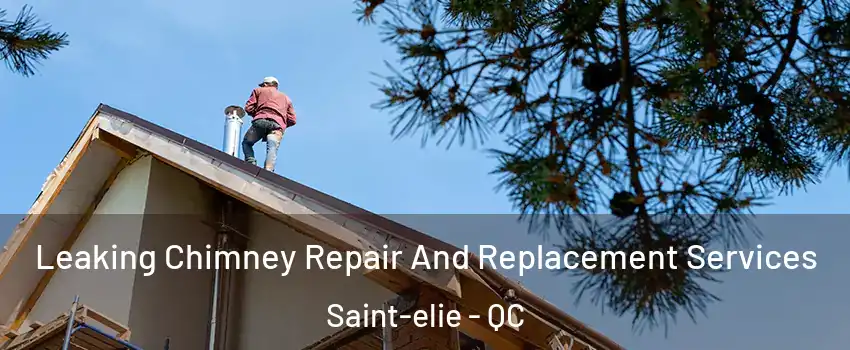  Leaking Chimney Repair And Replacement Services Saint-elie - QC
