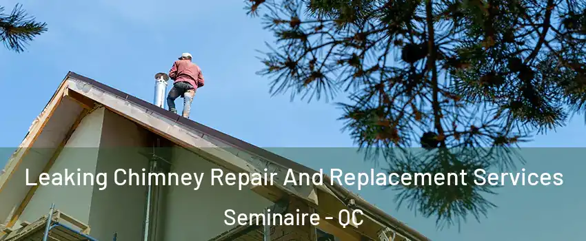  Leaking Chimney Repair And Replacement Services Seminaire - QC