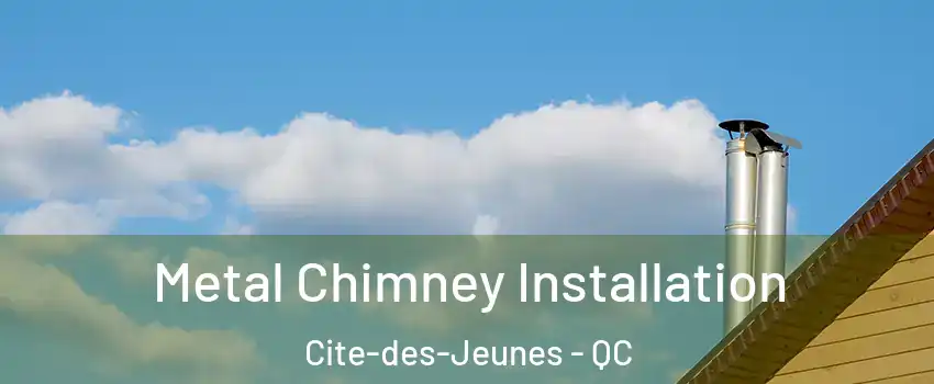  Metal Chimney Installation Cite-des-Jeunes - QC