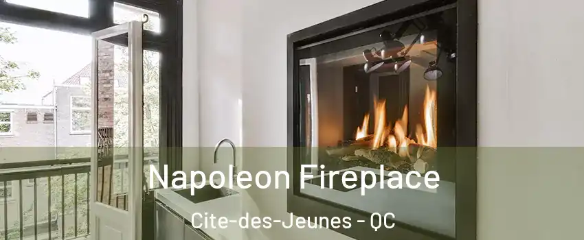  Napoleon Fireplace Cite-des-Jeunes - QC