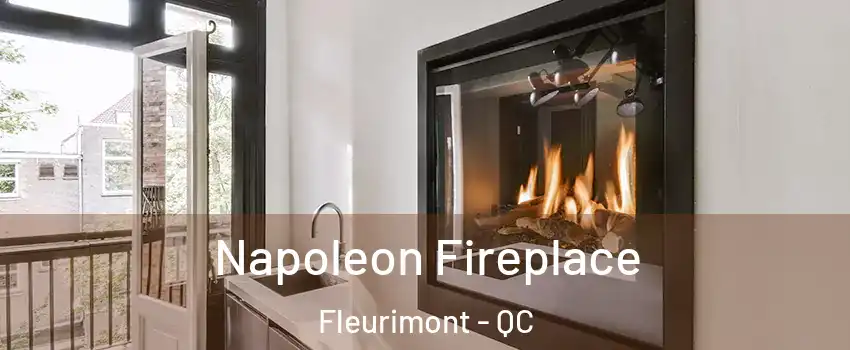  Napoleon Fireplace Fleurimont - QC