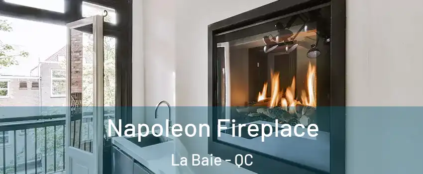  Napoleon Fireplace La Baie - QC