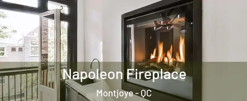  Napoleon Fireplace Montjoye - QC